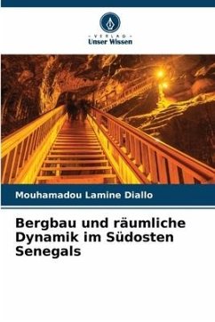 Bergbau und räumliche Dynamik im Südosten Senegals - Diallo, Mouhamadou Lamine