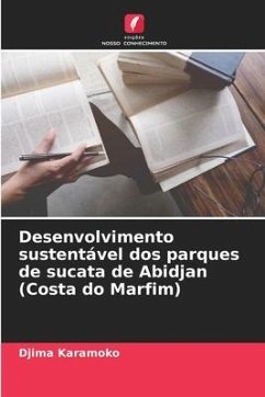 Desenvolvimento sustentável dos parques de sucata de Abidjan (Costa do Marfim) - Karamoko, Djima