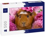 Lais Puzzle Meerschweinchen in rosa Blumen 500 Teile