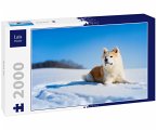 Lais Puzzle Akita Inu 2000 Teile