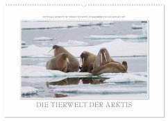 Emotionale Momente: Die Tierwelt der Arktis / CH-Version (Wandkalender 2024 DIN A2 quer), CALVENDO Monatskalender