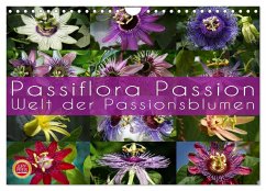 Passiflora Passion - Welt der Passionsblumen (Wandkalender 2024 DIN A4 quer), CALVENDO Monatskalender