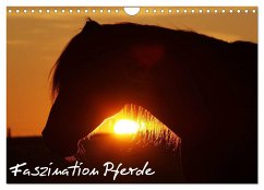 Faszination Pferde (Wandkalender 2024 DIN A4 quer), CALVENDO Monatskalender