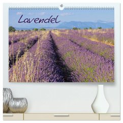 Lavendel (hochwertiger Premium Wandkalender 2024 DIN A2 quer), Kunstdruck in Hochglanz