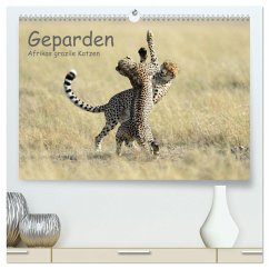 Geparden - Afrikas grazile Katzen (hochwertiger Premium Wandkalender 2024 DIN A2 quer), Kunstdruck in Hochglanz
