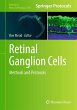 Retinal Ganglion Cells - Bild 1