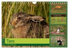 Tiere in der Feldmark (Wandkalender 2024 DIN A4 quer), CALVENDO Monatskalender - Erlwein, Winfried