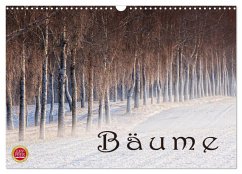 Bäume (Wandkalender 2024 DIN A3 quer), CALVENDO Monatskalender