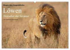 Magie des Augenblicks - Löwen - Herrscher der Savanne (Wandkalender 2024 DIN A2 quer), CALVENDO Monatskalender - Wisniewski, Winfried