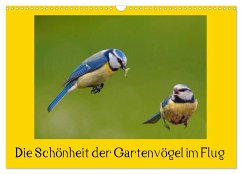 Die Schönheit der Gartenvögel im Flug (Wandkalender 2024 DIN A3 quer), CALVENDO Monatskalender - Klapp, Lutz
