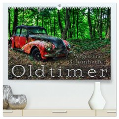 Oldtimer - Vergessene Schönheiten (hochwertiger Premium Wandkalender 2024 DIN A2 quer), Kunstdruck in Hochglanz