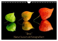 "Drei" Natur kunstvoll fotografiert (Wandkalender 2024 DIN A4 quer), CALVENDO Monatskalender