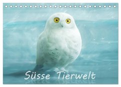 Süsse Tierwelt / CH-Version / Geburtstagskalender (Tischkalender 2024 DIN A5 quer), CALVENDO Monatskalender