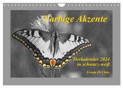 Farbige Akzente - Tierkalender 2024 in schwarz-weiß (Wandkalender 2024 DIN A4 quer), CALVENDO Monatskalender - Di Chito, Ursula