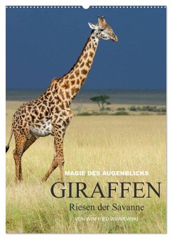 Magie des Augenblicks - Giraffen - Riesen der Savanne (Wandkalender 2024 DIN A2 hoch), CALVENDO Monatskalender - Wisniewski, Winfried