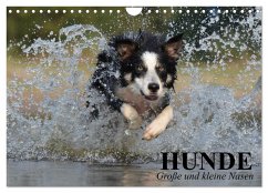 Hunde. Große und kleine Nasen (Wandkalender 2024 DIN A4 quer), CALVENDO Monatskalender