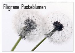 Filigrane Pusteblumen / Geburtstagskalender (Wandkalender 2024 DIN A2 quer), CALVENDO Monatskalender