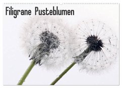 Filigrane Pusteblumen / Geburtstagskalender (Wandkalender 2024 DIN A2 quer), CALVENDO Monatskalender - Schnellewelten