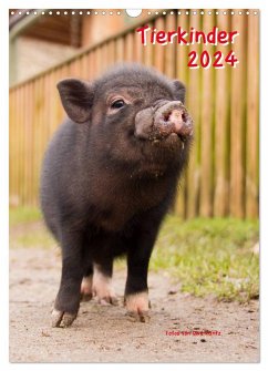 Tierkinder (Wandkalender 2024 DIN A3 hoch), CALVENDO Monatskalender