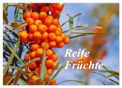 Reife Früchte (Wandkalender 2024 DIN A2 quer), CALVENDO Monatskalender