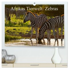 Afrikas Tierwelt: Zebras (hochwertiger Premium Wandkalender 2024 DIN A2 quer), Kunstdruck in Hochglanz