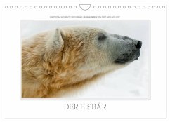 Emotionale Momente: Der Eisbär. / CH-Version (Wandkalender 2024 DIN A4 quer), CALVENDO Monatskalender