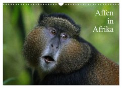 Affen in Afrika (Wandkalender 2024 DIN A3 quer), CALVENDO Monatskalender