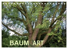 Baum Art (Tischkalender 2024 DIN A5 quer), CALVENDO Monatskalender