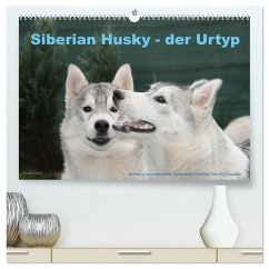 Siberian Husky - der Urtyp (hochwertiger Premium Wandkalender 2024 DIN A2 quer), Kunstdruck in Hochglanz - Ebardt, Michael