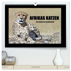 Afrikas Katzen (hochwertiger Premium Wandkalender 2024 DIN A2 quer), Kunstdruck in Hochglanz
