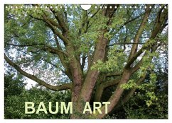 Baum Art (Wandkalender 2024 DIN A4 quer), CALVENDO Monatskalender