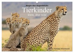 Magie des Augenblicks - Tierkinder - klein, aber wild (Wandkalender 2024 DIN A2 quer), CALVENDO Monatskalender