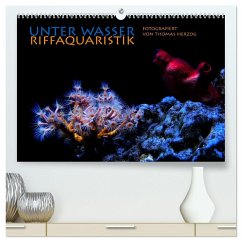 UNTER WASSER Riffaquaristik (hochwertiger Premium Wandkalender 2024 DIN A2 quer), Kunstdruck in Hochglanz
