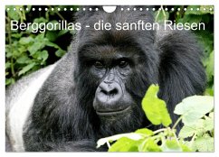 Berggorillas - die sanften Riesen (Wandkalender 2024 DIN A4 quer), CALVENDO Monatskalender - Herzog, Michael