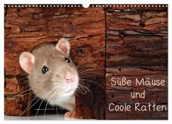 Süße Mäuse und Coole Ratten / CH-Version (Wandkalender 2024 DIN A3 quer), CALVENDO Monatskalender - Eppele, Klaus