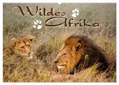 Wildes Afrika (Wandkalender 2024 DIN A2 quer), CALVENDO Monatskalender