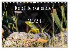 Reptilienkalender 2024 (Wandkalender 2024 DIN A3 quer), CALVENDO Monatskalender