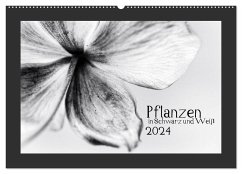 Pflanzen in Schwarz und Weiß (Wandkalender 2024 DIN A2 quer), CALVENDO Monatskalender