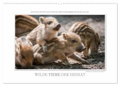 Emotionale Momente: Wilde Tiere der Heimat. (Wandkalender 2024 DIN A2 quer), CALVENDO Monatskalender