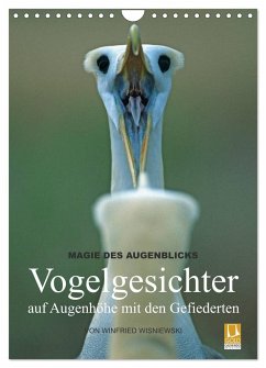 Magie des Augenblicks - Vogelgesichter - auf Augenhöhe mit den Gefiederten (Wandkalender 2024 DIN A4 hoch), CALVENDO Monatskalender