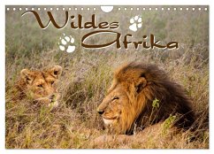 Wildes Afrika (Wandkalender 2024 DIN A4 quer), CALVENDO Monatskalender - Calvendo