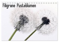 Filigrane Pusteblumen / Geburtstagskalender (Tischkalender 2024 DIN A5 quer), CALVENDO Monatskalender