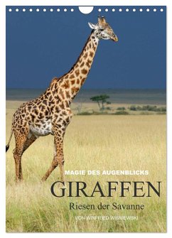 Magie des Augenblicks - Giraffen - Riesen der Savanne (Wandkalender 2024 DIN A4 hoch), CALVENDO Monatskalender