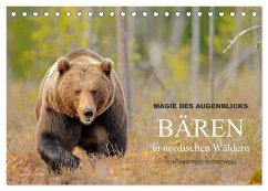 Magie des Augenblicks - Bären in nordischen Wäldern (Tischkalender 2024 DIN A5 quer), CALVENDO Monatskalender - Wisniewski, Winfried