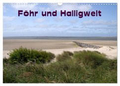 Föhr und Halligwelt 2024 (Wandkalender 2024 DIN A3 quer), CALVENDO Monatskalender