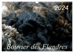 Bouvier des Flandres (Wandkalender 2024 DIN A3 quer), CALVENDO Monatskalender - Milau, Susan