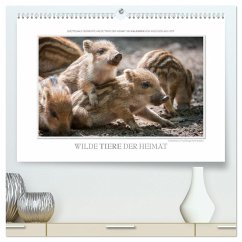 Emotionale Momente: Wilde Tiere der Heimat. (hochwertiger Premium Wandkalender 2024 DIN A2 quer), Kunstdruck in Hochglanz