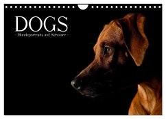 Dogs (Wandkalender 2024 DIN A4 quer), CALVENDO Monatskalender - Noack, Nicole