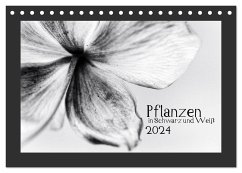 Pflanzen in Schwarz und Weiß (Tischkalender 2024 DIN A5 quer), CALVENDO Monatskalender