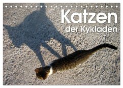 Katzen der Kykladen (Tischkalender 2024 DIN A5 quer), CALVENDO Monatskalender